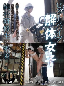 ピストンバイブ解体女子‘実習’という名のシゴキにもめげずに男社会で解体工を目指す純朴研修生に密着 解体実習編　レビュー1.00