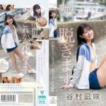 kawaii史上最もシャイなヒロイン 脱ぎます。 谷村凪咲　レビュー4.22
