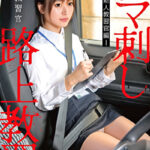 女性教習官ナマ刺し路上教習-新人教習官編-